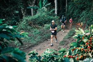 BIB: 
                            <button type="button" onclick="openModal(25802905)" class="btn btn-primary btn-sm float-right btn-popup" data-toggle="modal" data-target=".modal-high-quality">
                        <i class="fas fa-shopping-cart"></i> Add to Cart
                    </button>
                                            <button type="button" onclick="isThisMe(25802905, true)" class="btn btn-success btn-sm float-right btn-popup btn-isme hidden" data-toggle="tooltip" data-placement="bottom" title="นี่คือรูปของคุณใช่ไหม คลิกที่นี่เพื่อเอาเข้าอัลบั้ม">
                        <i class="fas fa-plus"></i> Add to album
                    </button>
                    <button type="button" onclick="isThisMe(25802905, false)" class="btn btn-warning btn-sm float-right btn-popup btn-isnotme hidden">
                        <i class="fas fa-ban"></i> Remove from album
                    </button>